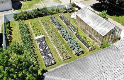 Suburban Micro Farm