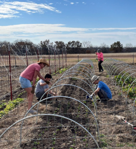 Grow Your Own - no matter where you live