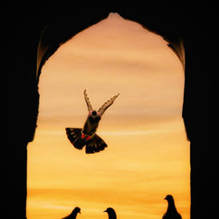 Gourav Verma