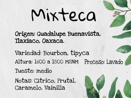 Nuestros orígenes Fichas técnicas