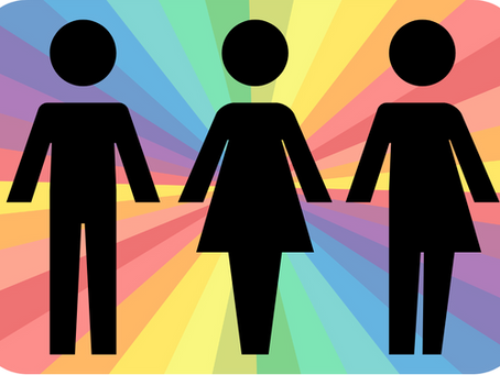Pride, Privacy, & Public Toilets