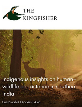 Screenshot of web article