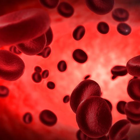 19.2M Grant to Support SCD Trial into Red Cell Exchange in US and Europes