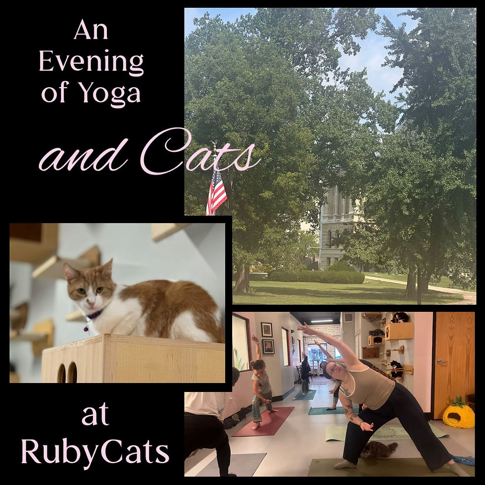 Outdoor Yoga then Cat Time at RubyCats