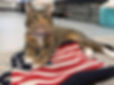 Kittie-JulyFourth-2026-01-web.jpg
