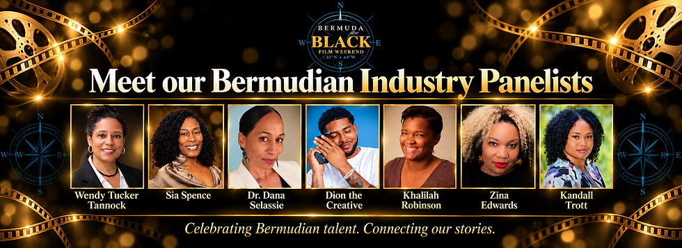 Bermudian Industry Panelists Website Banner.png