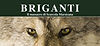 1278x700-briganti_edited.jpg