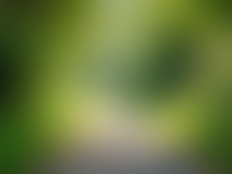 A Guide to Spiritual Awakening and Growth: Spiritual Awakening Insights