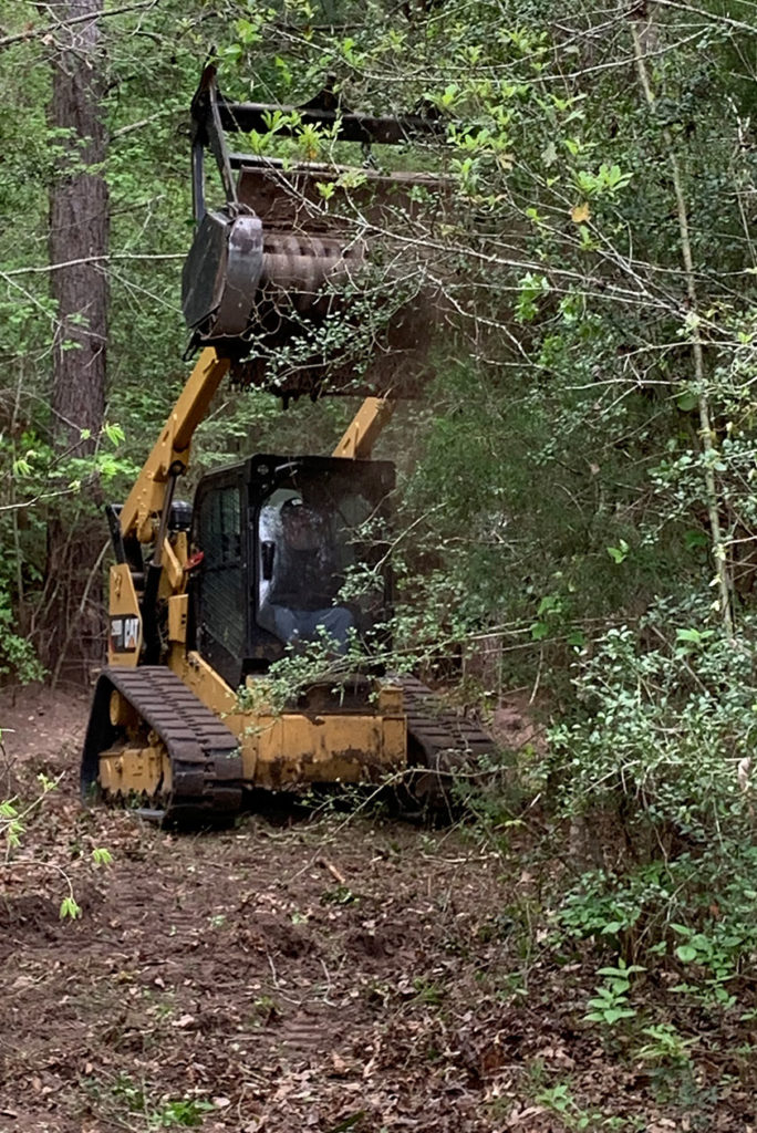 Tracked mulcher clearing brush and small trees on a wooded lot