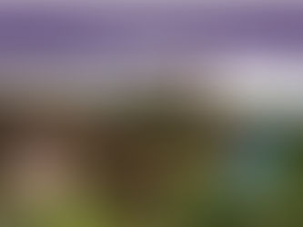 Η Συμμορία του Μαρκαδόρου: Le Retour vo4