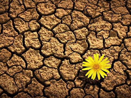 4 Ways to Worship When it's Hard