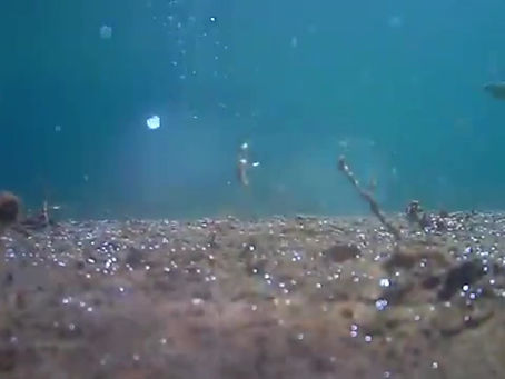 ALBERTO BOZZA - LAGO DI GARDA