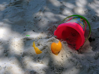 高浜虚子の「熱帯季題」で作られた句を、ChatGPTに批評させてみた。