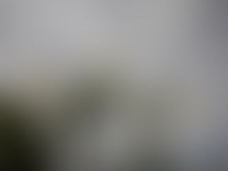 不定期テレビ日記（２０２５年６月）〜雨季の黄金花、AIが決定する歴史、フンセン事態・・・など