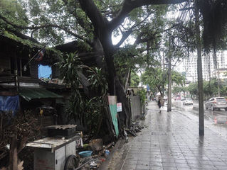 今日の一句　時雨