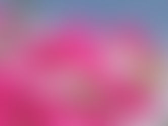 AIに熱帯季題をまとめさせてみた。