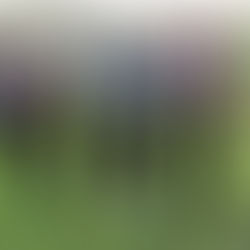 A huge congratulations to our Students of the Week.