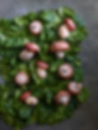 Porcini and Spinach.jpg