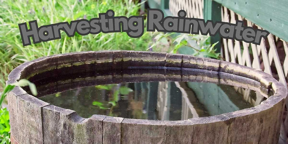 Harvesting Rainwater