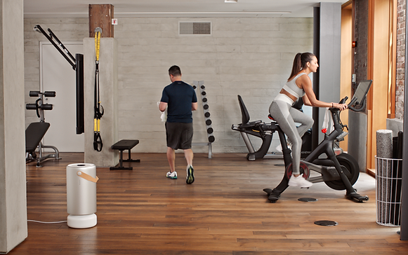 Screen Shot 2020-10-13 at 8.52.49 PM.png