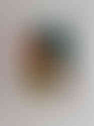 The Way we were framed.jpg