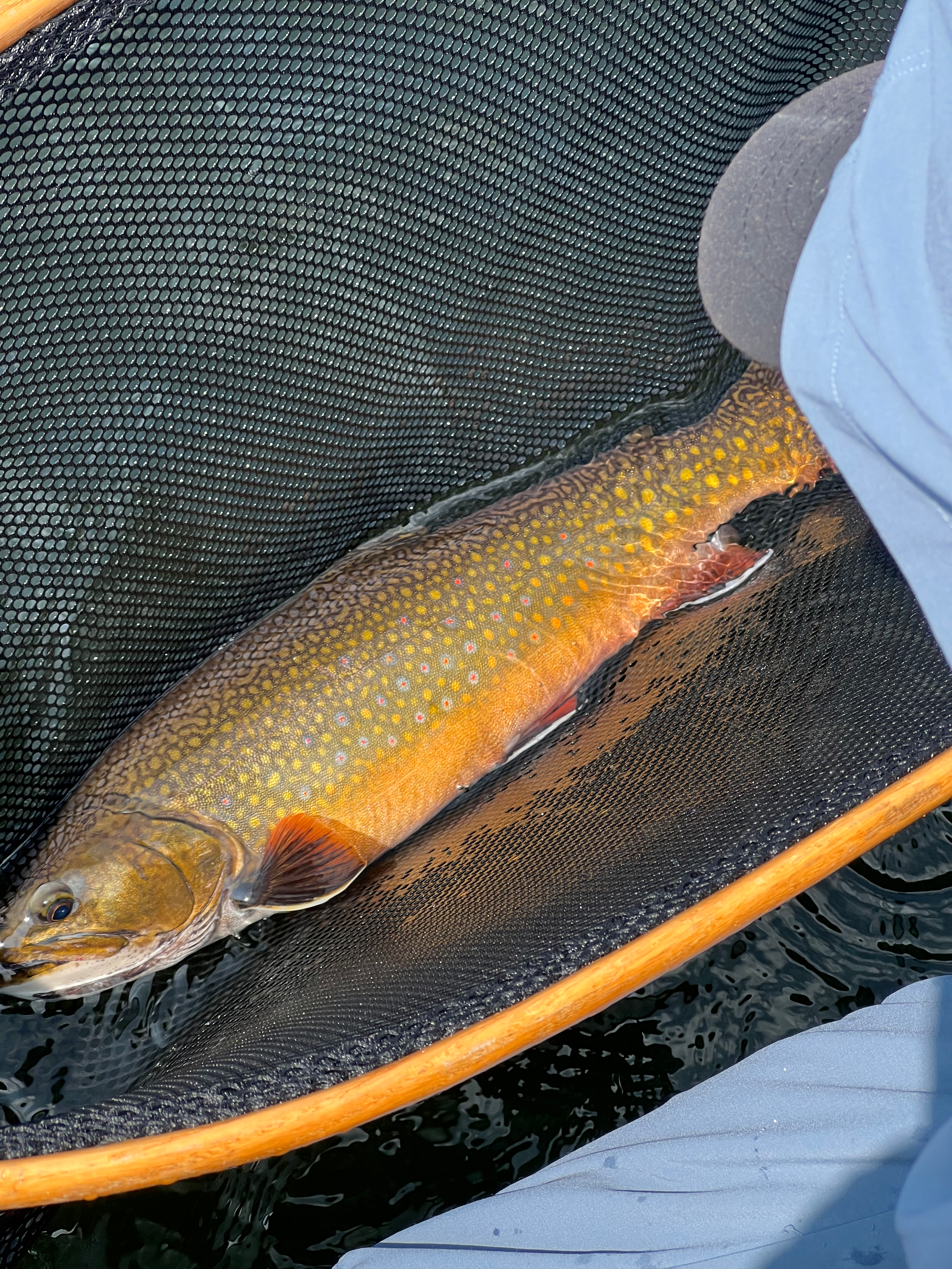 Walleye fishing packages — Hot Take Angling – Hot Take Angling