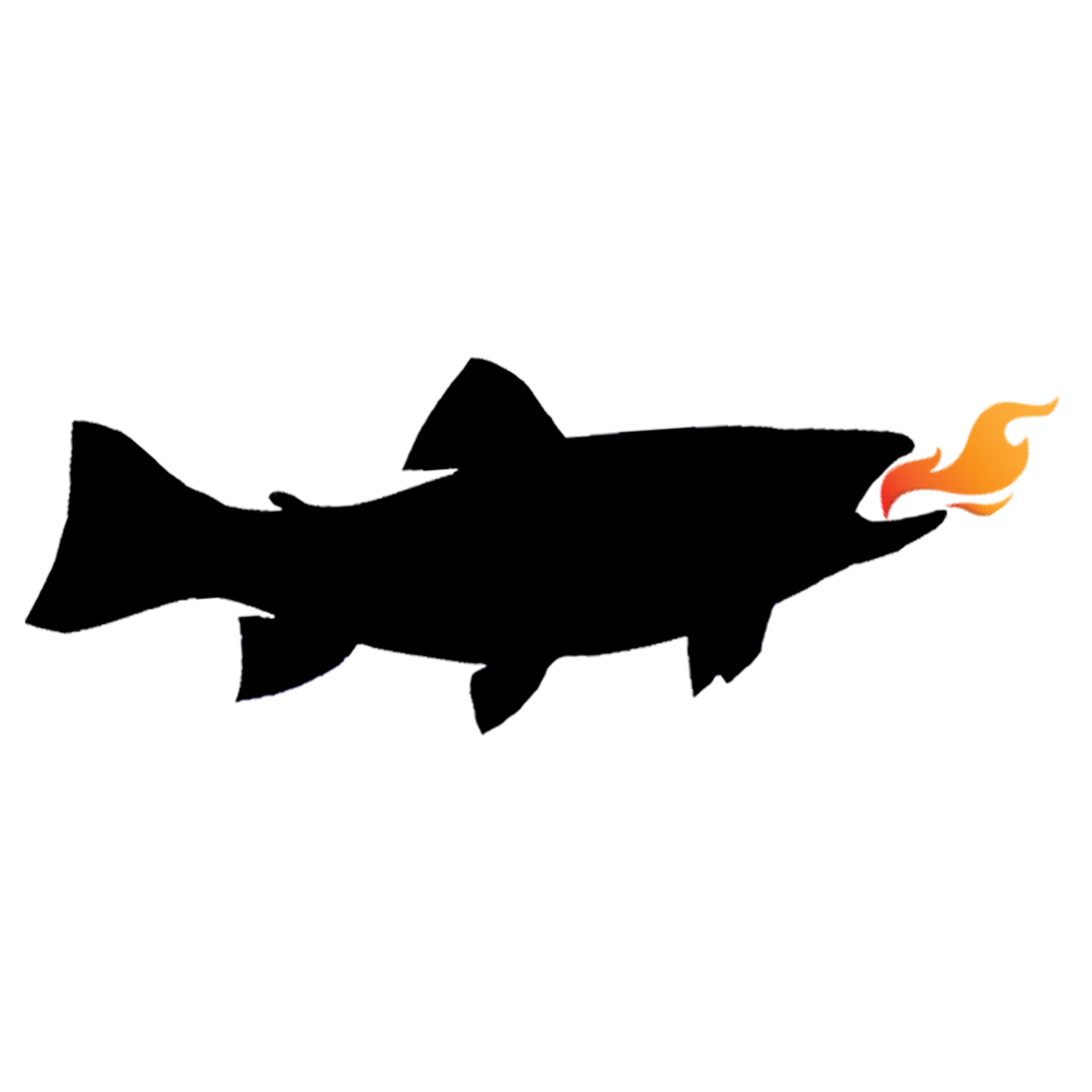 Walleye fishing packages — Hot Take Angling – Hot Take Angling