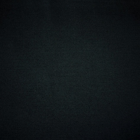 blackback.jpg