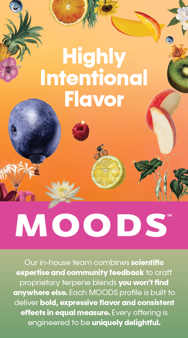 MOODS Process Evergreen Email
