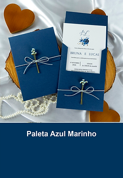 paleta-azul-marinho-m.png