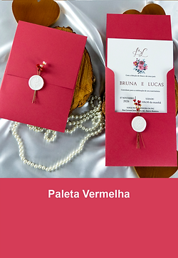paleta--vermelha-m.png