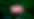 sora-sagano-z81fCikflf0-unsplash.jpg