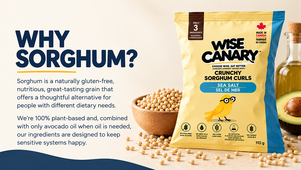Why Sorghum_ Clean Snack Branding.png