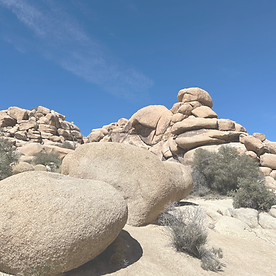 Joshua Tree_edited_filtered.png