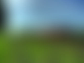 Getting Business Back on Track -      IRCC's Response to Immigration Backlogs 