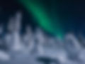 finlandia-con-wandernow