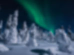 finlandia-con-wandernow