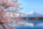 Vista del monte Fuji en Japon