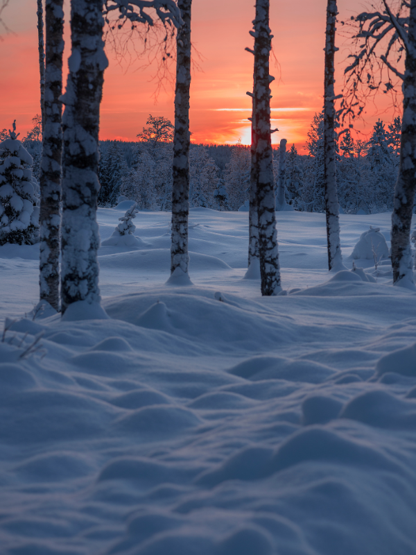 Bello atardecer en Finlandia