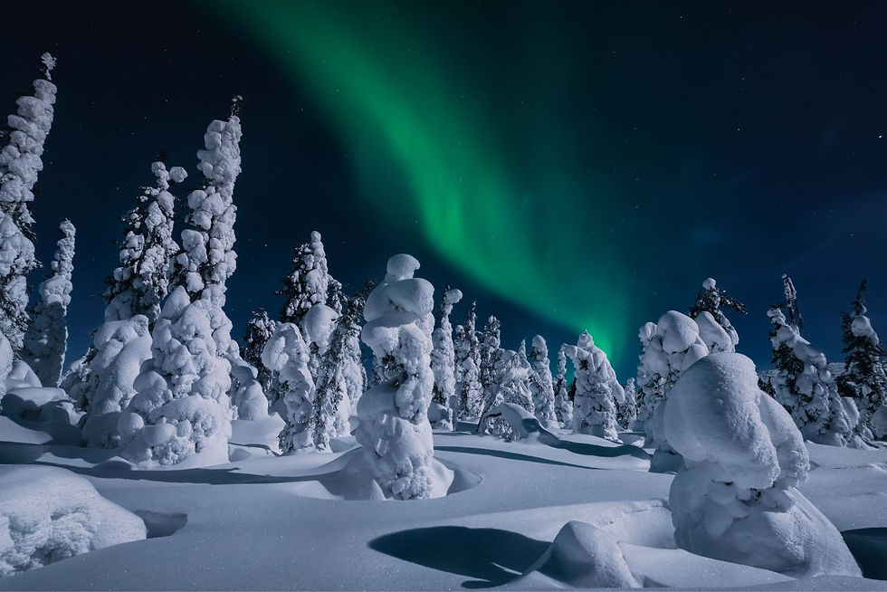 Aurora en bosque de Finlandia