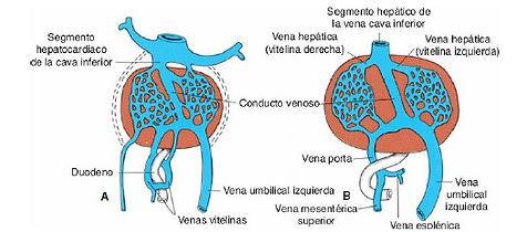 CapturaFIG 13-48 A y B.PNG