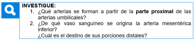 INVESTIGUE6.PNG