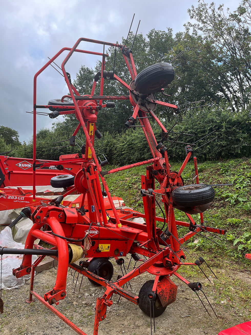 Thumbnail: Kuhn GF6401 MH Tedder 