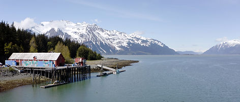 202105_PROCESSING PLANT_HAINES_SCENIC_1_CF.jpeg