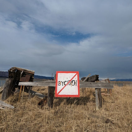 No Bycatch: Turn Around and Check the Other View