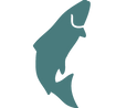 Salmon.png