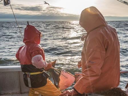 AMCC at the December NPFMC Meeting: Advocating for a Whole-Ecosystem Approach to Fisheries Management 