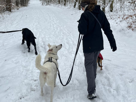 Orientierung am Menschen – warum sie so wichtig ist