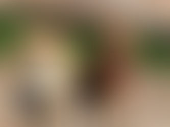 Zwei Hunde beim Gassiservice in Reutlingen.