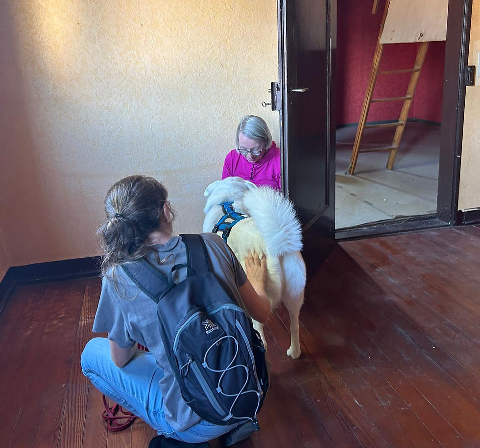 Ein Hund wird von einer vermissten person belohnt nachdem er sie gefunden hat - Mantrailing